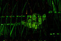 ' . substr('//images.dpchallenge.com/images_portfolio/100000-104999/103668/120/818758.jpg', strrpos('//images.dpchallenge.com/images_portfolio/100000-104999/103668/120/818758.jpg', '/') + 1) . '