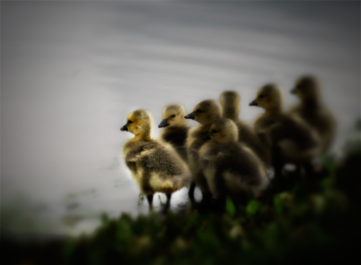 Stand Out
