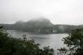 View of Middle Arm over Dogberries