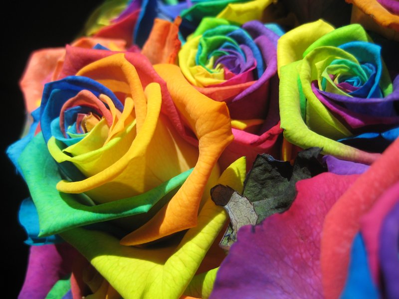 True Colors