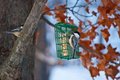 DSC_5210.jpg