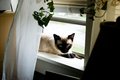 DSC_0066.jpg