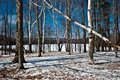 DSC_5744.jpg