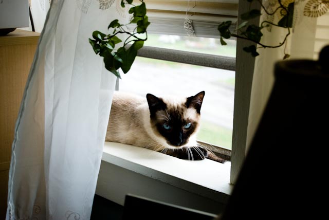 DSC_0066.jpg