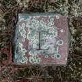 Underfoot #7: Cemetery, Row E