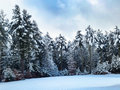 Snow, and no wind
