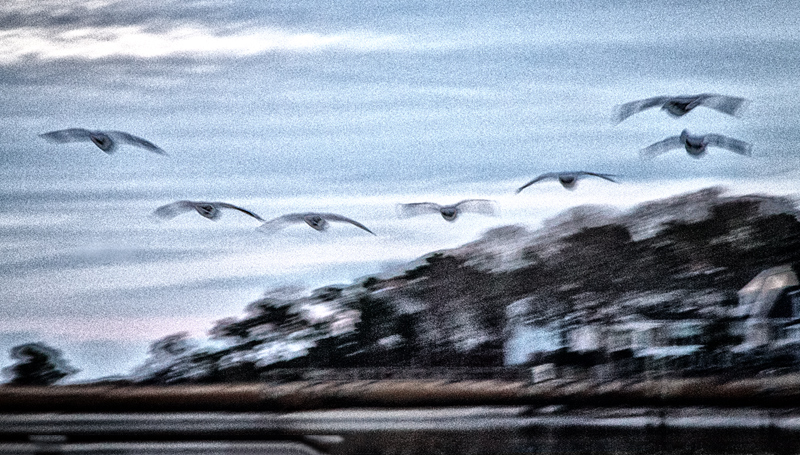 2014 Photo a week. #3: Convoy Heading South