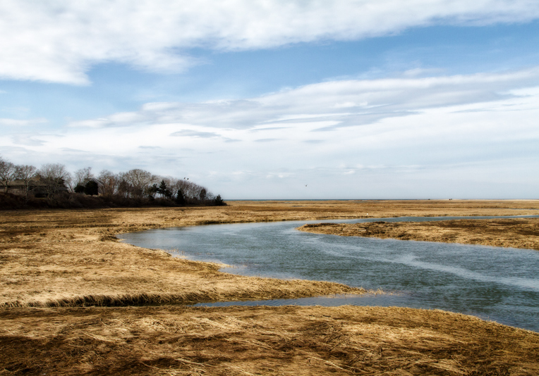 2014 Photo a week. #4. Tidal Marsh