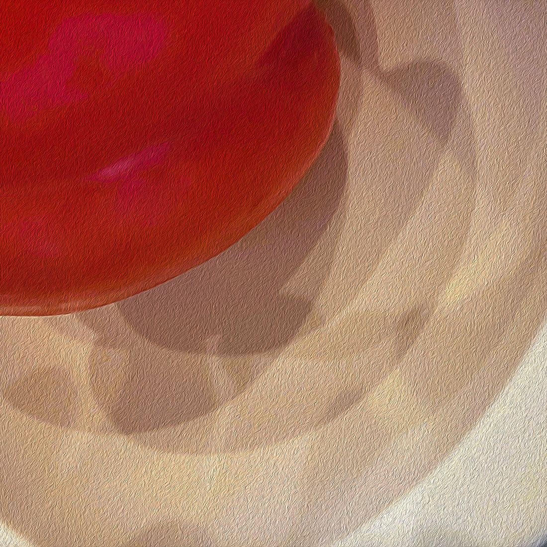 Red Pepper and Shadows