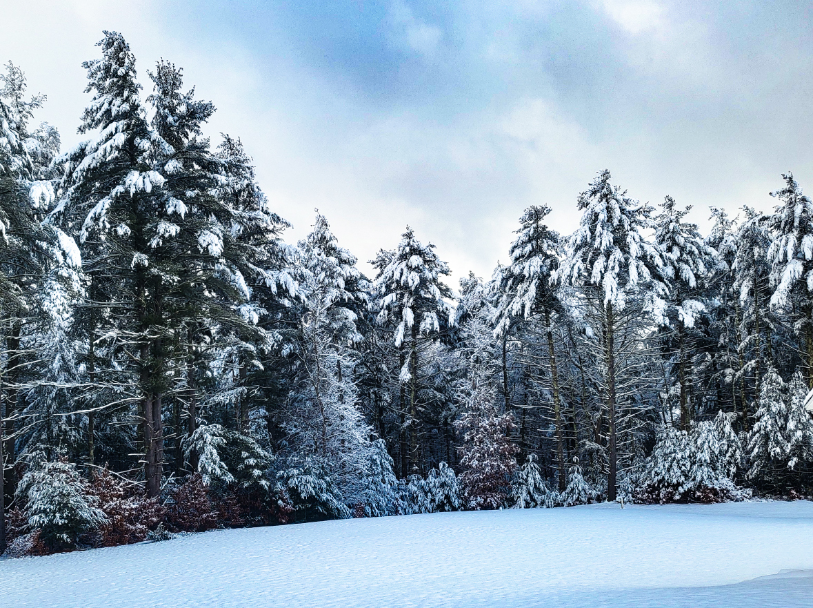 Snow, and no wind