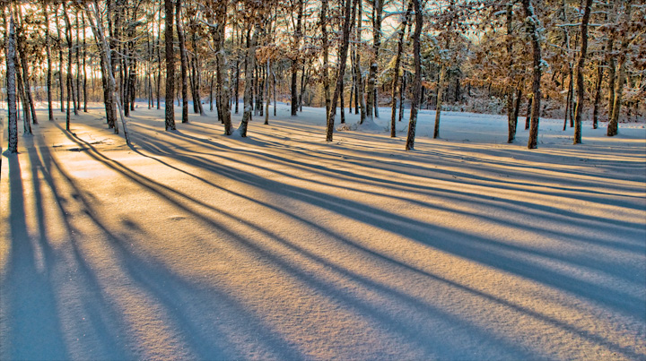 Winter evening light pine trees and snow; topaz then levels adj