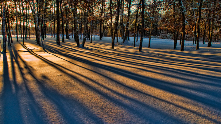 Winter evening light 