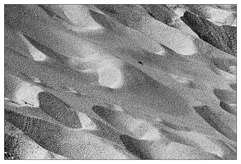 IMG_8261-scallops-of-sand-SEP-not-inverted.-jpg
