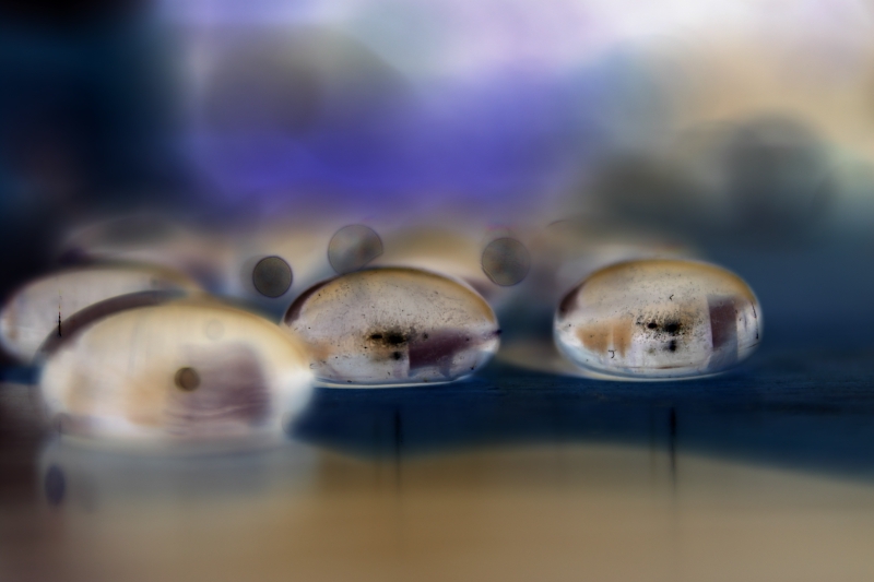 negastones