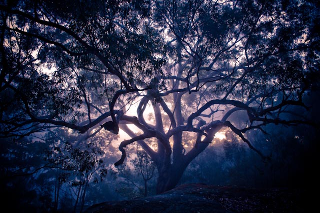 misty sunset.jpg