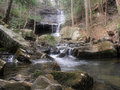 Board Tree Falls, Middle TN