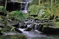 Boardwalk-Falls-2.jpg