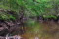 Yockanookany River
