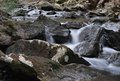 Creek flowing from Board Tree Falls