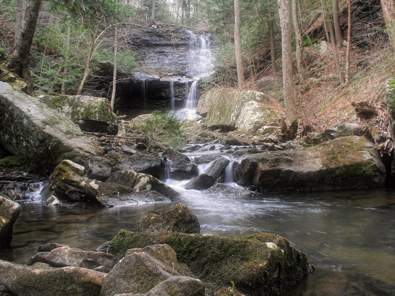 Board Tree Falls, Middle TN