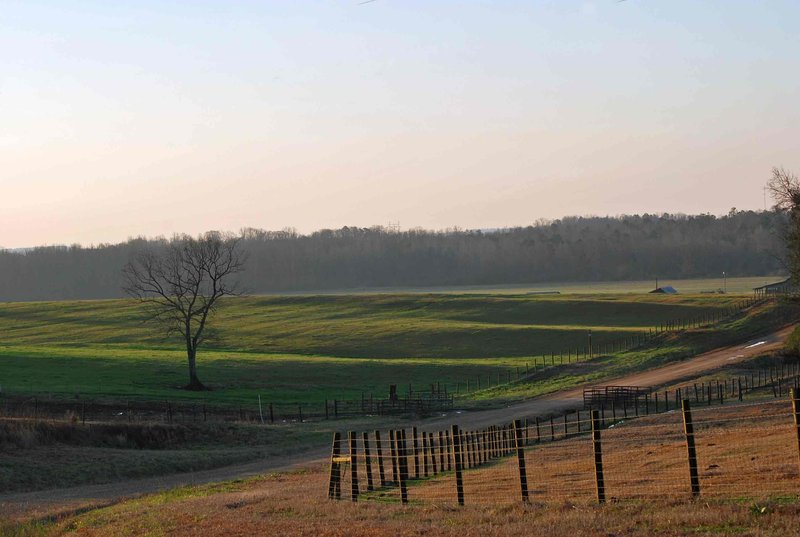 West Bank Farms, Durant, Ms