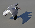 DSC_1290_Edit_8x10_Small