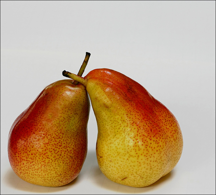 Intimacy (white background)