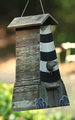 The Bird 5.jpg