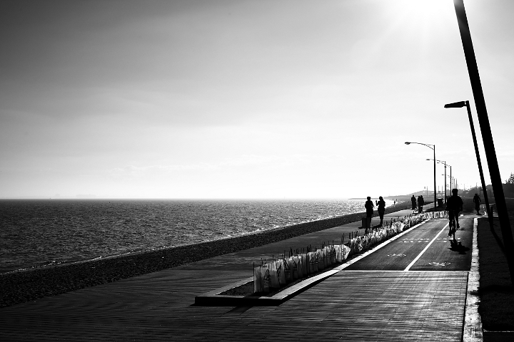 elwood beach 