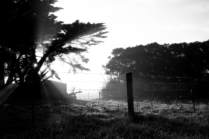 sunrise 