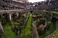 Colosseum, Rome