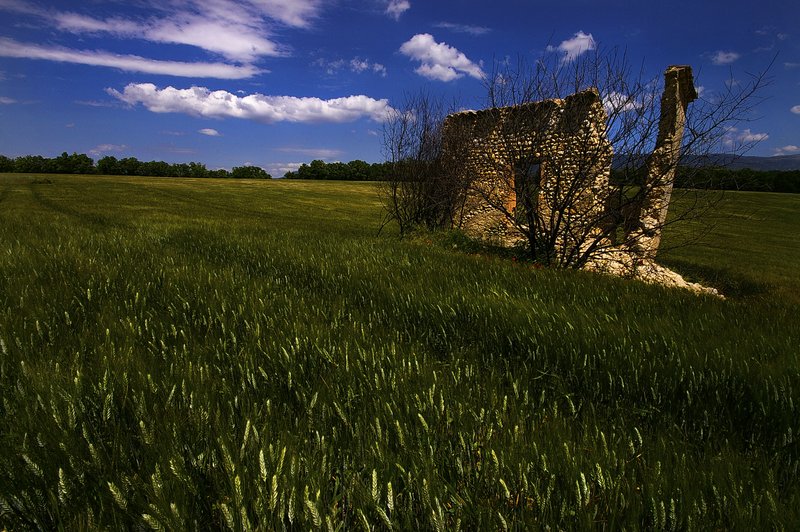 Valensole Ruin (94)