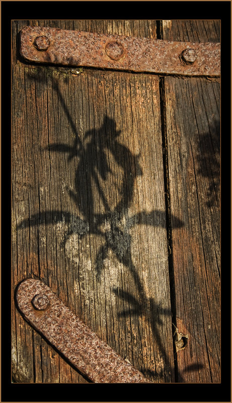 shadow copy.jpg