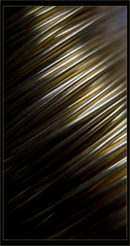 wire copy.jpg