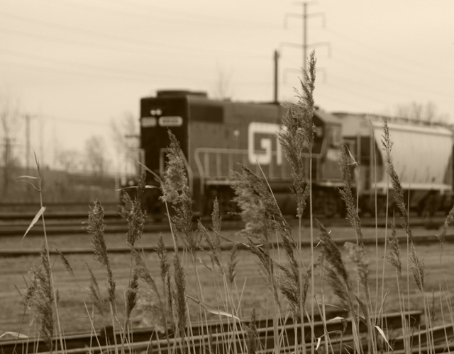 Waiting for the Train