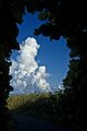 Path to Delray Beach