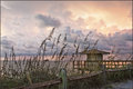 Lifeguard shack at Coral Cove