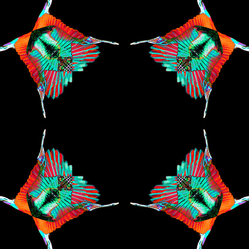 Spoonbill-flipped.jpg