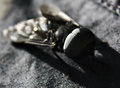 Horsefly's Eye Size