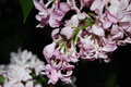 DSC_0094.JPG