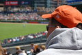 Spectator's View