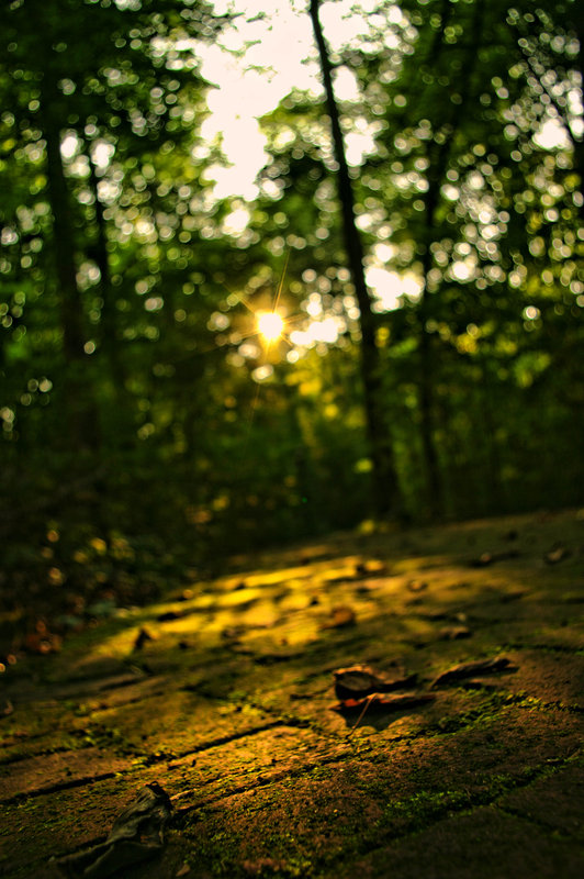 path.jpg
