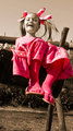 Wannebee Pink competitor