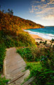 Maroubra I