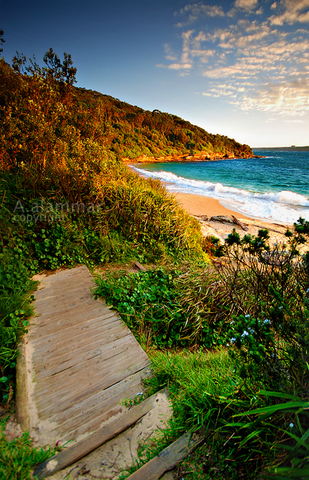 Maroubra I