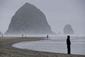 HaystackBlackhood081040_72.jpg