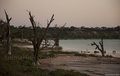 Desolation