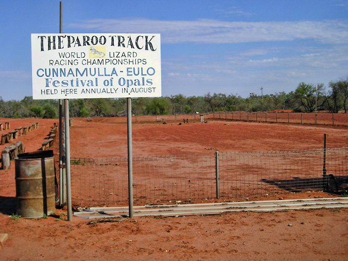 The Paroo Track