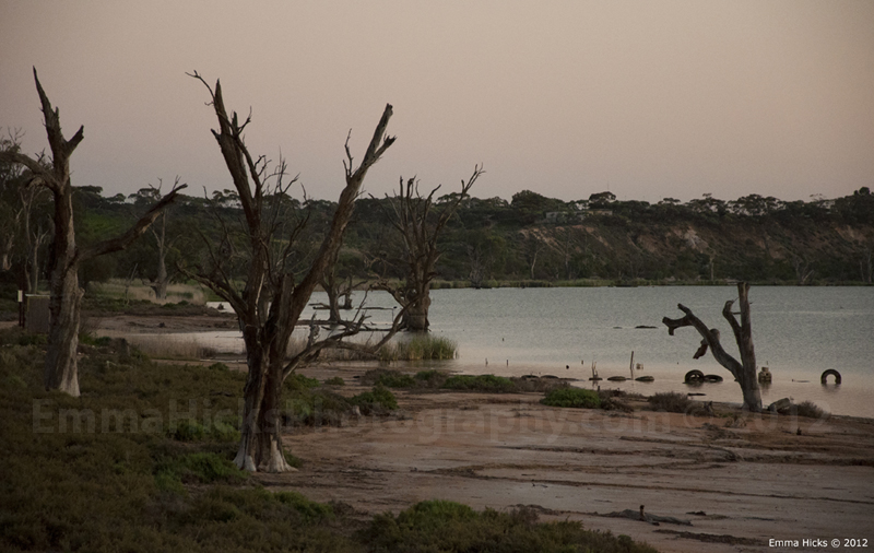 Desolation
