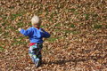 Amongst the Leaves